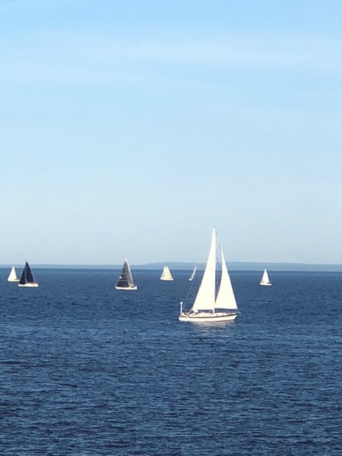 Sailboat Races