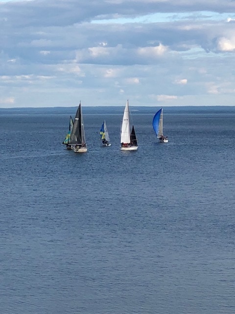 sailboat races-watch from courtyard